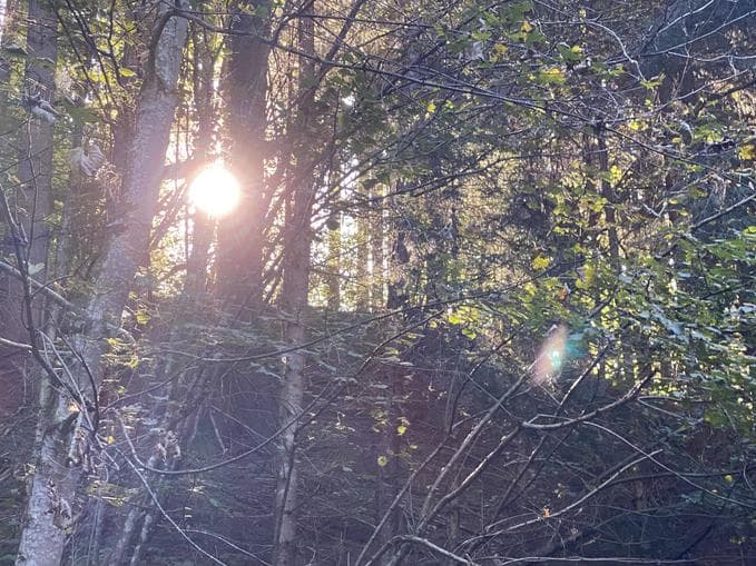 LAS(s)T LOS - Spirituelle Wanderung