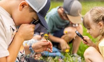 Family Aktiv - Erlebnistag mit Wildgehege