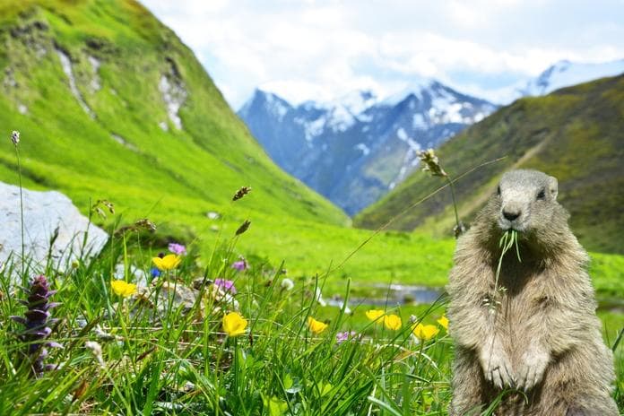 Weitental: Tal der Idylle & Blumenpracht