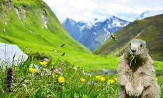 Weitental: Tal der Idylle & Blumenpracht