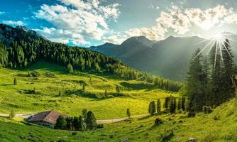 Unterwegs im Reich von Zirbe und Tannenhäher