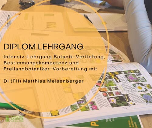 Freitag, - Sonntag,