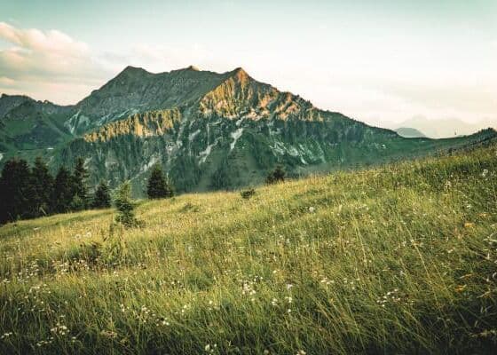 © Achensee Tourismus