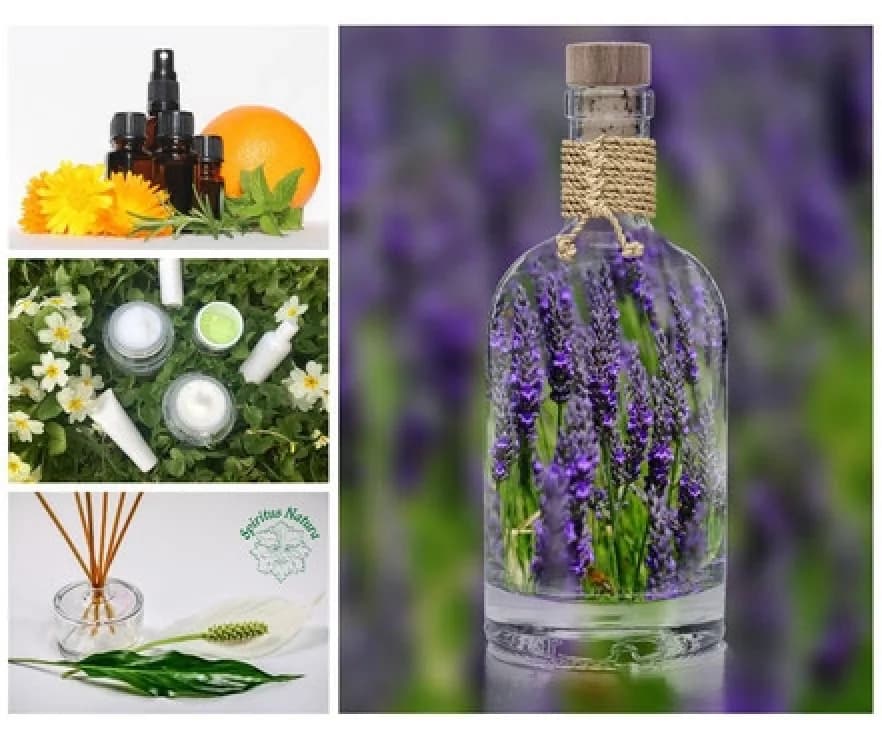 25. Sep
bis
Ärztlich geprüfter Aromatologe, Komplementäre Pflege, Aromapflege gem. §64 GuKG