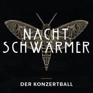 Nachtschwärmer