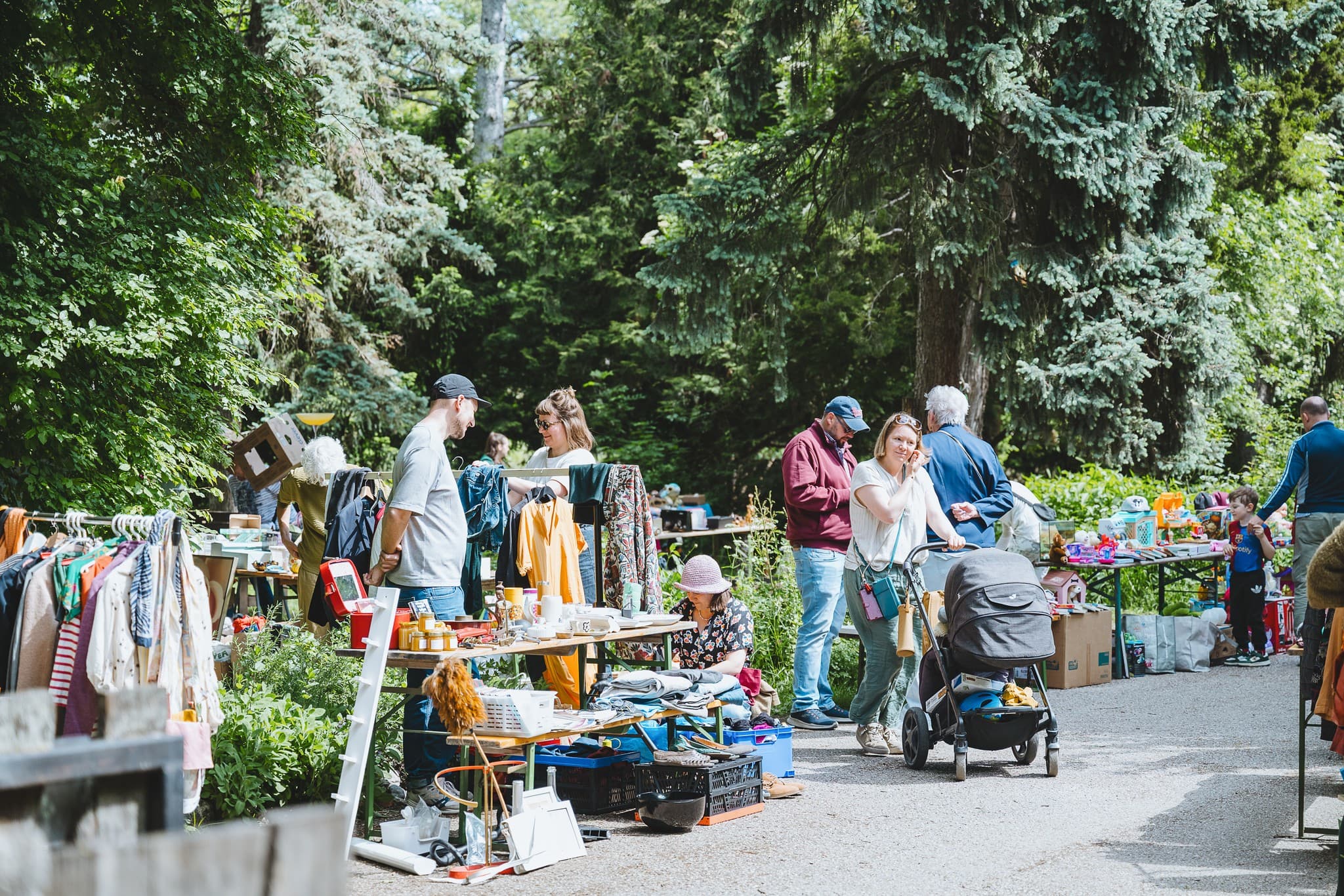 Floh- und Jungpflanzenmarkt beim Wohnstrudel in 2525 Schönau an der Triesting
