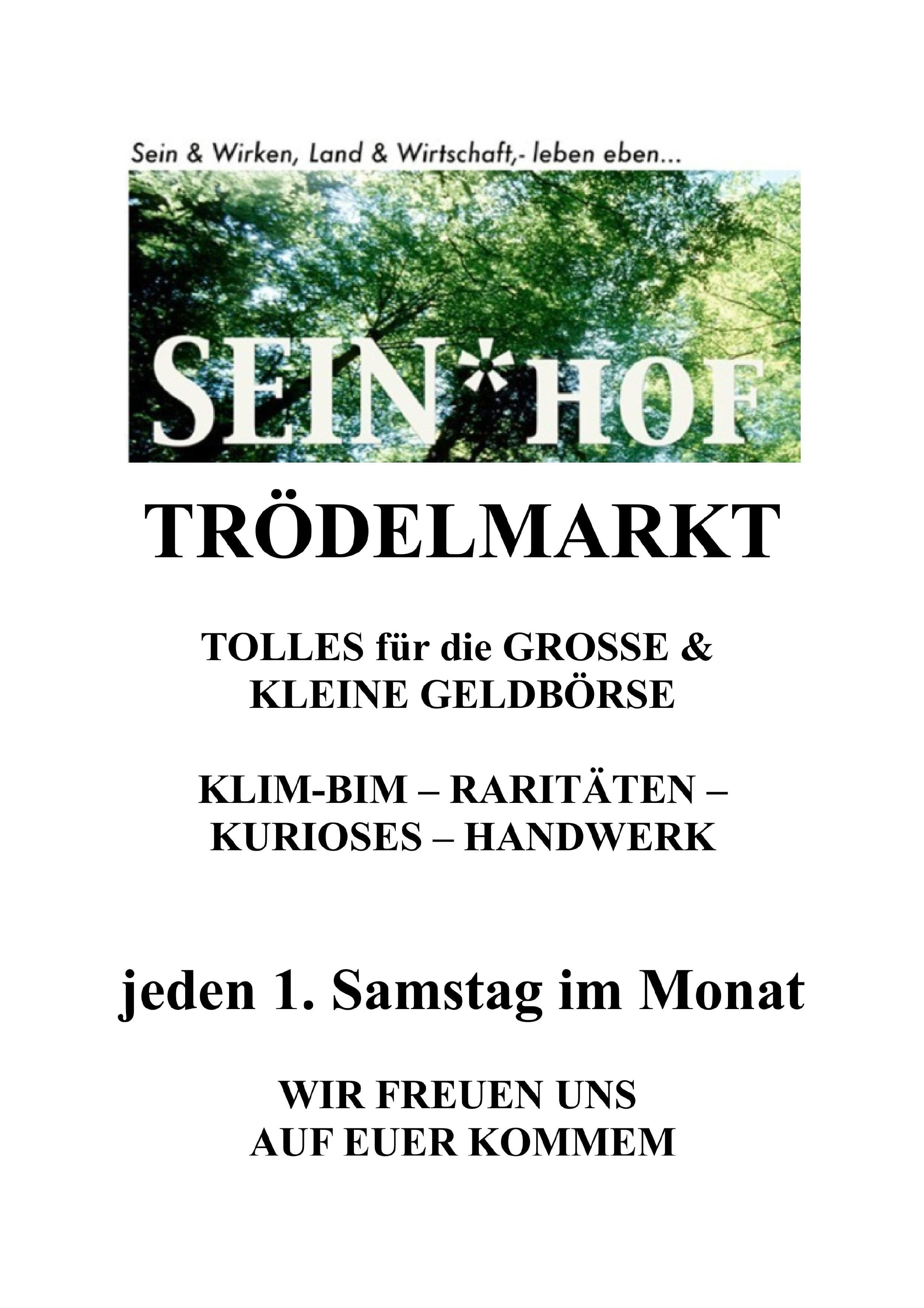 SEIN*HOF Flea Market in 8345 Straden