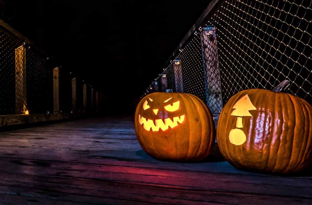 Halloween und Kürbissuche auf dem Baumwipfelpfad