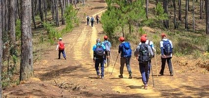 Singkreis Herbstwanderung