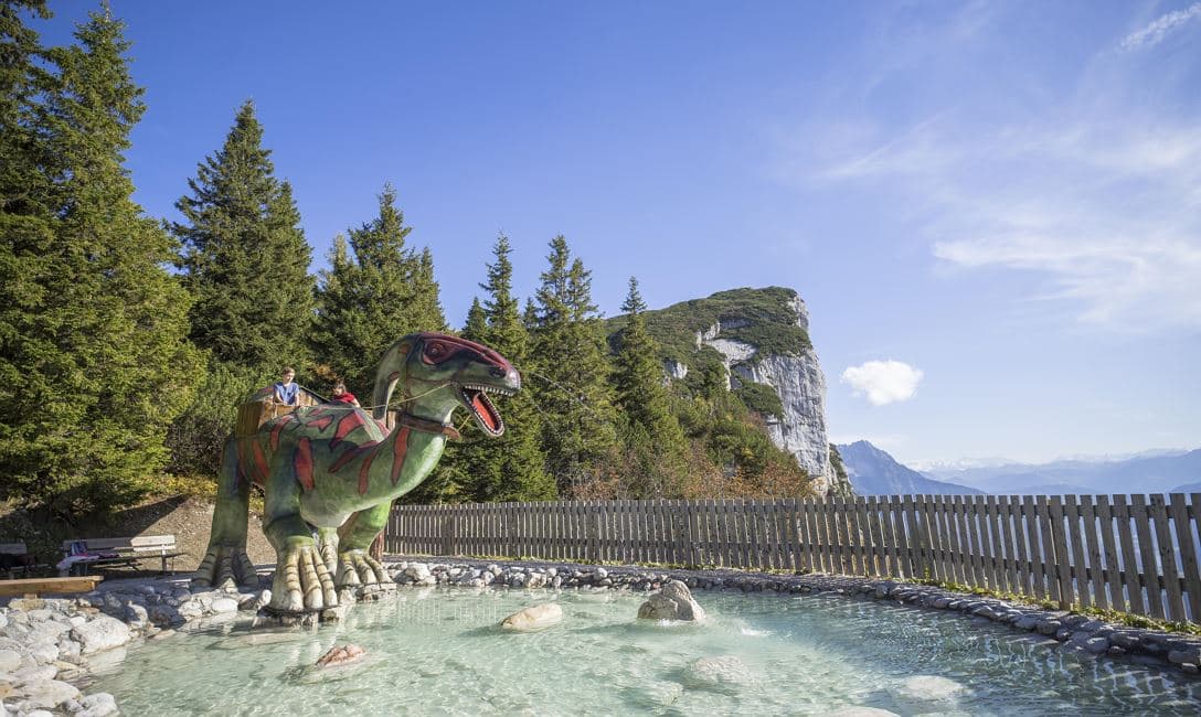 Family and Children's Program: Into the Gondola - Up to Primeval Times