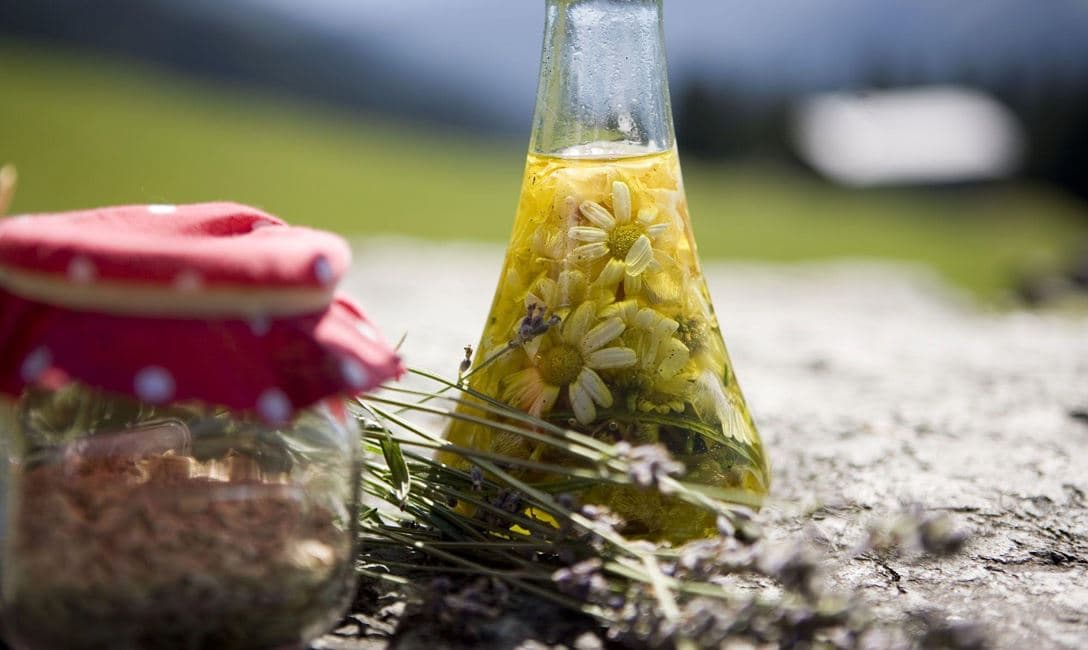 Von Natur aus gsund - Wiesenkräuterführung in Hopfgarten