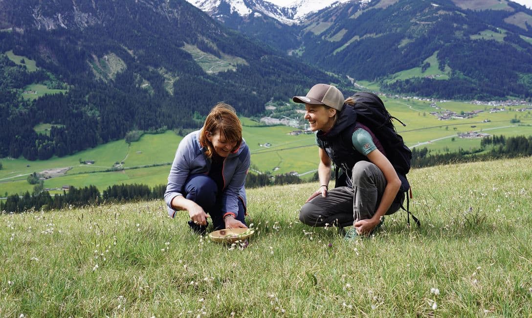 Brixentaler Bergkräuter-Wanderung