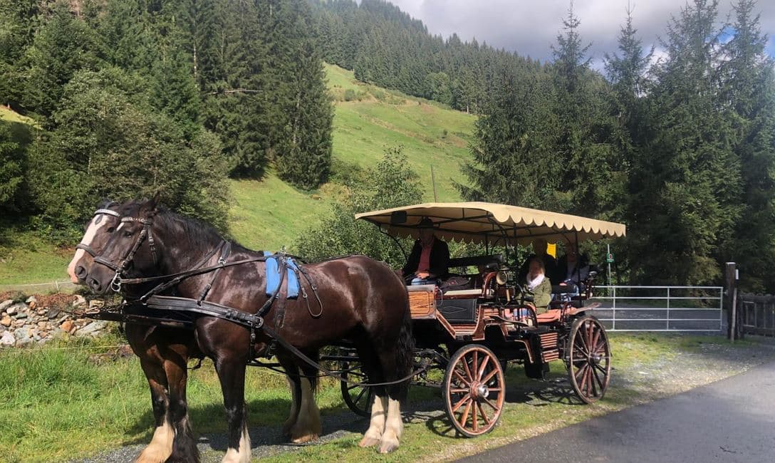 Idyllische Pferdekutschenfahrt