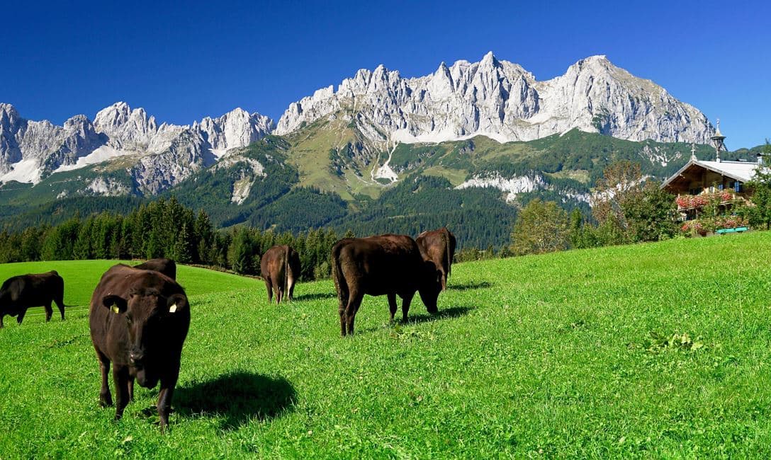 Sommer-Special: Genussradtour zu die BIOKAISER