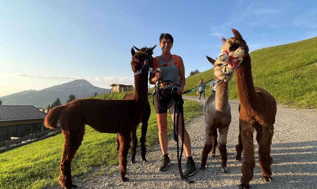 Sommer Alpakawanderung in Westendorf