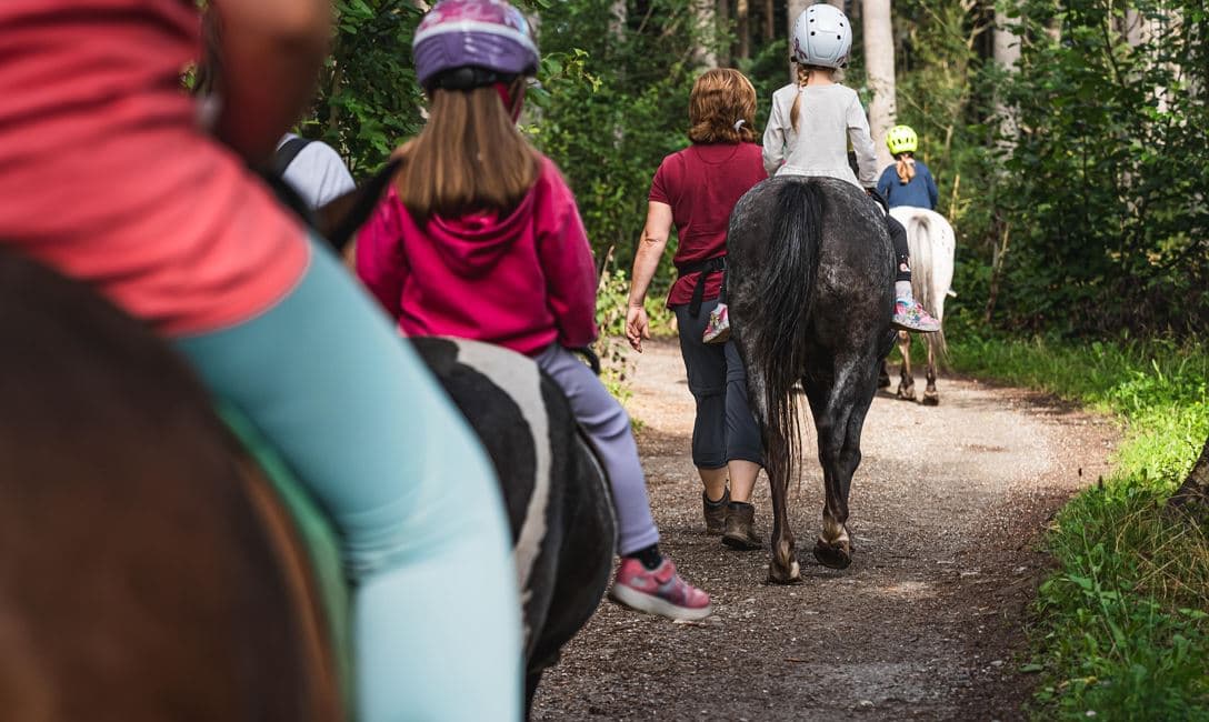Ponytrekking in Westendorf