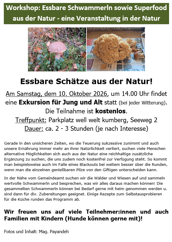Essbare Schätze aus der Natur