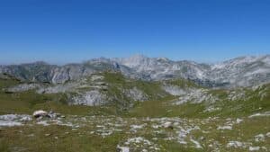 ÖAV Blumentour - Naturkundliche Wanderung