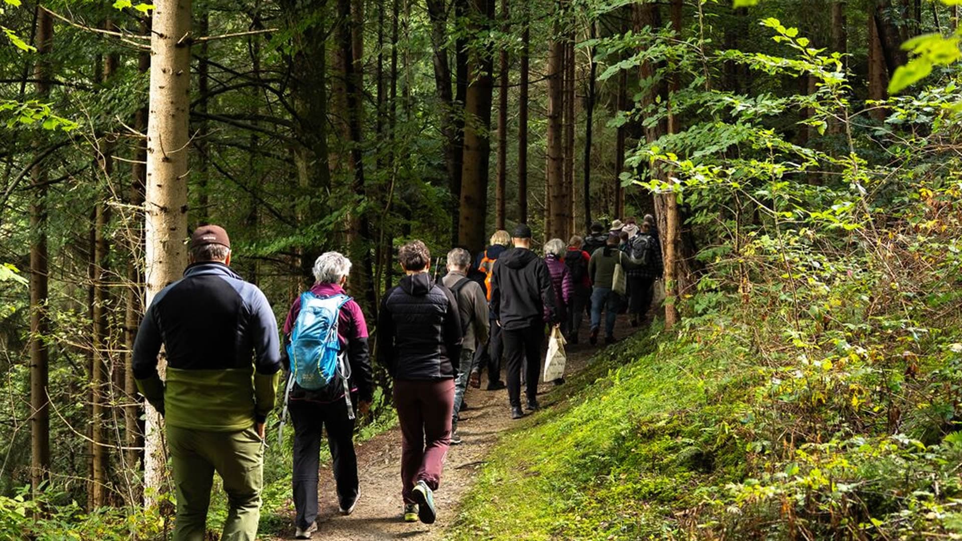 Führung "Wald der Zukunft"