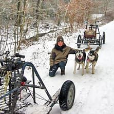 Husky Erlebnistag | Theorie & Hundeschlittenfaht | 7 Std