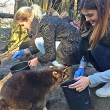 Tierpfleger im Zoo