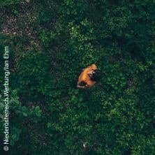 ErlebnisWienerWald - WienerWaldSein