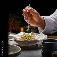 4-Gänge Gourmet Dinner