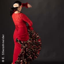 Alegría x Flamenco - El Cuadro