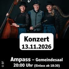 Die Hoameligen - Winterg'fühl