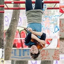 Fledermäuse