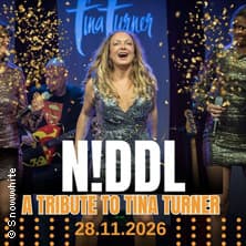 N!ddl – Tribute to Tina Turner
