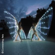Fairytale - Eine Show voller Licht, Magie & Märchen