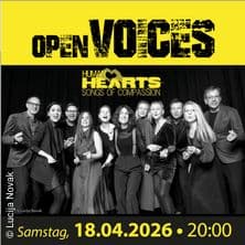 openVOICES - A-cappella-Ensemble