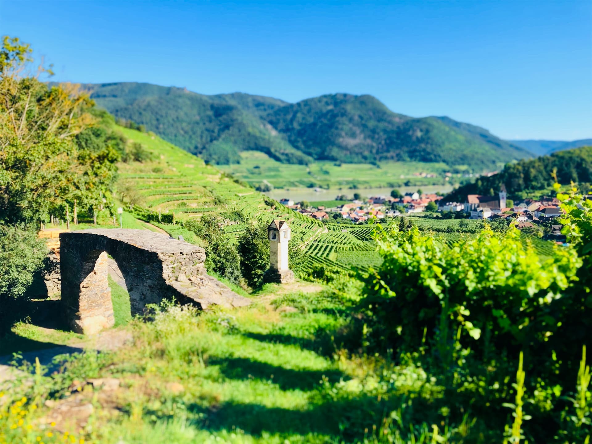 Marillenkirtag in Spitz