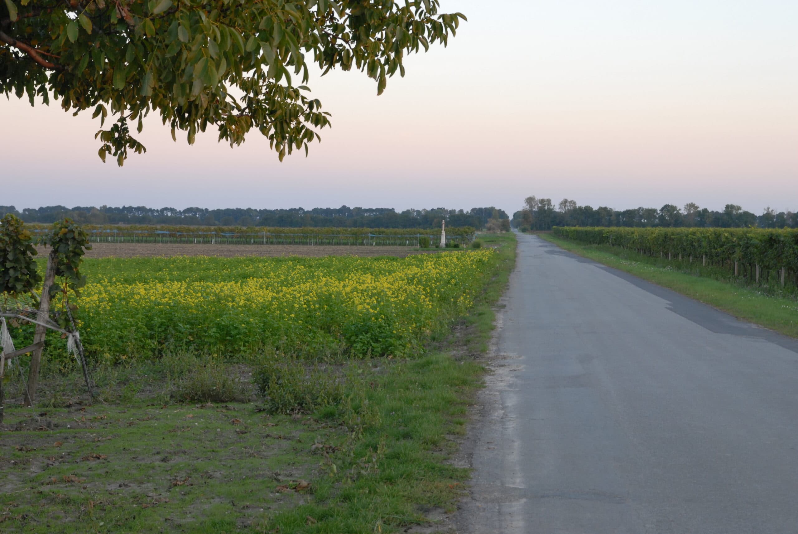 Bezirkswandertag