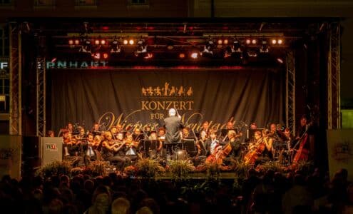 Konzert für Wiener Neustadt auf der Radio N� ...