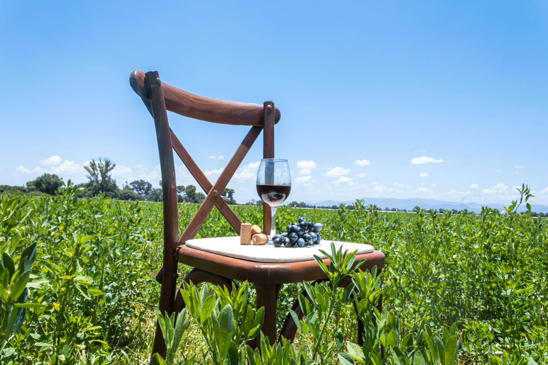 Käsefondue Abend in Fallerschein