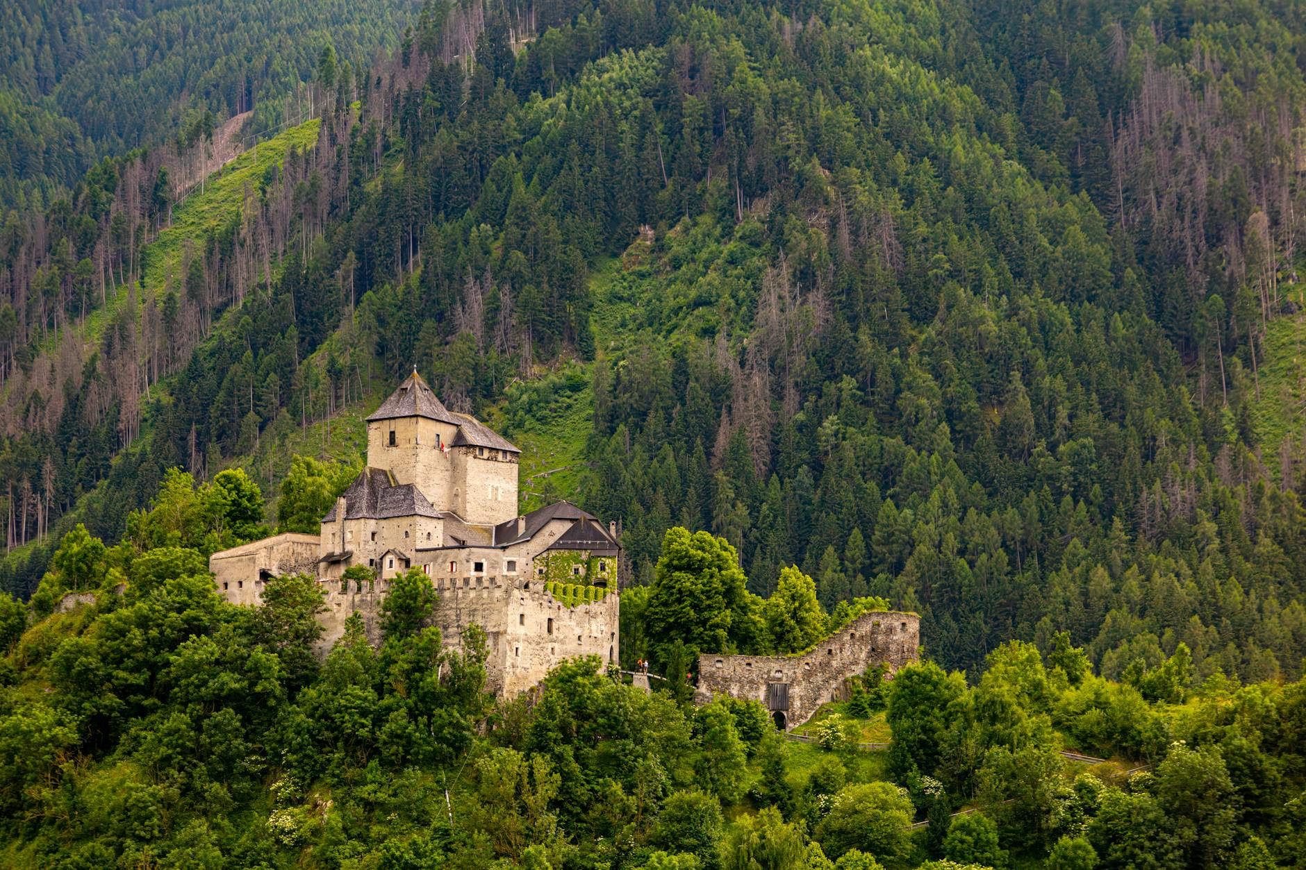 Gourmet Alps